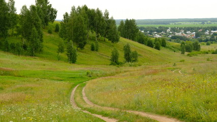 Beautiful summer landscape with hills and birches in Russia