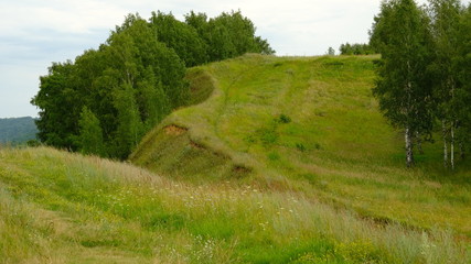 Fototapeta premium Beautiful summer landscape with hills and birches in Russia