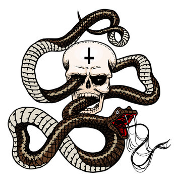 Snake with a skull in Vintage style. Serpent cobra or python or poisonous viper. Engraved hand drawn old reptile sketch for Tattoo. Anaconda for sticker or logo or t-shirts.