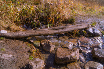 log over a stream in autumn