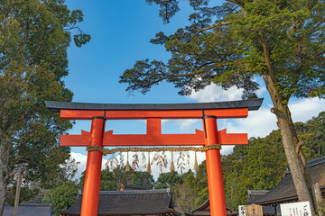 Fototapeta na wymiar 京都 上賀茂神社 境内風景