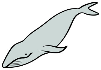 シンプルなクジラのイラスト