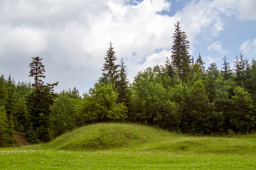 Fototapeta na wymiar Carpathian mountains landscape in summer