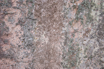 natural texture. Pink-green moss. Dark snow plate. Harvesting pattern. Wallpaper for the desktop. Stone texture