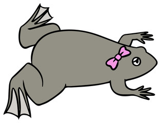 雌のアフリカツメガエルのイラスト_困り顔