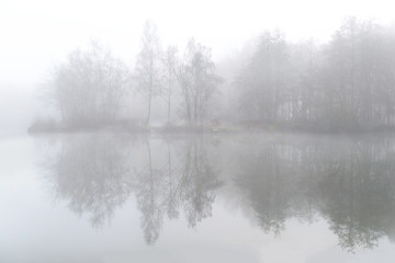 Fototapeta na wymiar a misty morning in the field at Ardooie, Belgium.