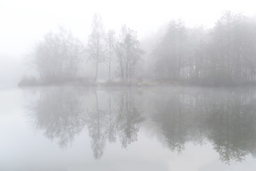 a misty morning in the field at Ardooie, Belgium.