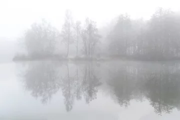 Fototapete a misty morning in the field at Ardooie, Belgium. © krist