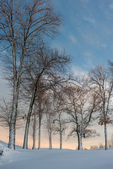 Pristine winter landscape