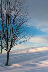 Fototapeta na wymiar Pristine winter landscape