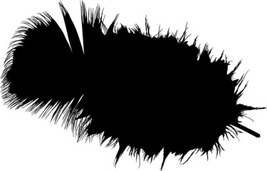 black silhouette of single small feather