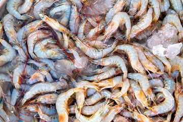 Shrimp to cook a variety of tasty and healthful , Sales in the market