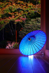 ライトアップされた青い傘と紅葉