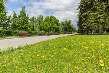 Alley with benches at summer in the city of Samara