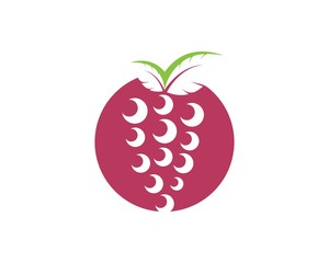 Grape fruits with leaf icon vector illustrtion