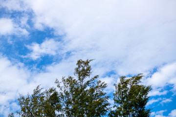 Sky and clouds bright from the Sunlight with a beautiful in the morning