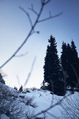 Fototapety na wymiar - Fototapeta24.pl