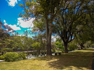 Sunny day in the park, sunlight with tree shadows in the glade
