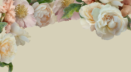 White roses, pink peony and iris isolated on pastel yellow background. Floral banner, cover, header...