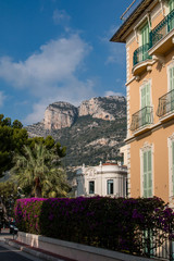 Luxurious houses of Monaco in front of the mountain in the background