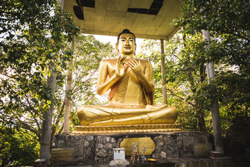 buddha