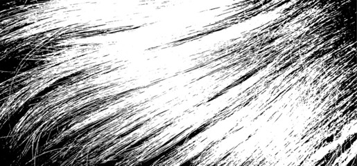 Vector brush sroke texture. Distressed uneven grunge background. Abstract distressed vector illustration. Overlay over any design to create interesting effect and depth. Black isolated on white. EPS10