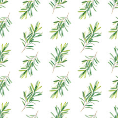 Seamless pattern of olive branches and leaves on white background. Watercolor illustration. Hand-drawn elements for eco-style design.