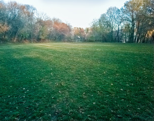 Fototapeta premium Sumice, Vozdovac, Belgrade, Serbia - november 29th, 2019: lawn in the park with the view on the sunset and sunlight, clouds on the sky and distant buildings through the autumn trees