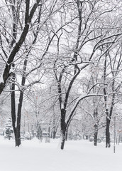 Park covered with heavy snow in the cold winter day