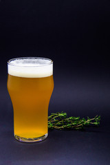 Craft beer and peanuts on black background