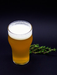 Craft beer and peanuts on black background