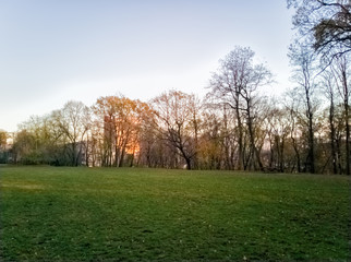 Fototapeta premium Sumice, Vozdovac, Belgrade, Serbia - november 29th, 2019: lawn in the park with the view on the sunset and sunlight, clouds on the sky and distant buildings through the autumn trees