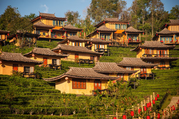 Fototapeta na wymiar Lee Wine Ruk Thai,Yunnan Chinese style clay house amidst tea plantations and cold weather in the mountains of Mae Hong Son off Thailand