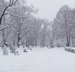 Empty park covered with heavy snow in the cold winter day