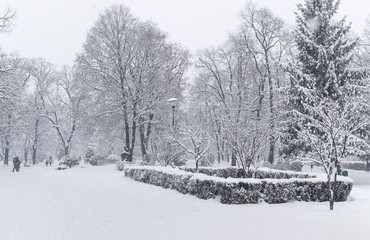 Empty park covered with heavy snow in the cold winter day