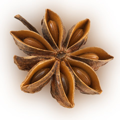 Badiane, anis &eacute;toil&eacute;