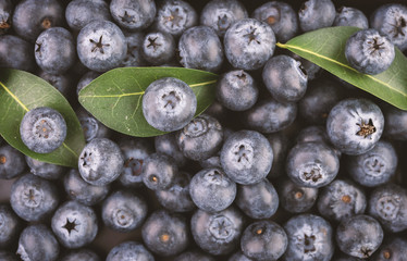 blueberries ,Berry, Blueberry background