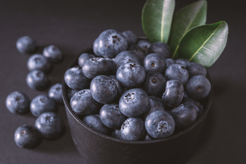 blueberries on black background