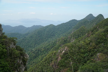 scenic view from the skybridge on langkawi