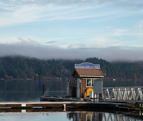 Cloudy morning on Hood Canal with birds and a Marina