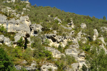 Falaises des gorges du Tarn, village de Hauterive, canyon de la Lozère, France