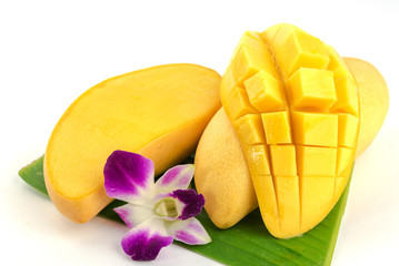 yellow mango on white background