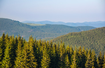 Carpathian mountains landscape