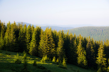 Fototapeta premium Carpathian mountains landscape