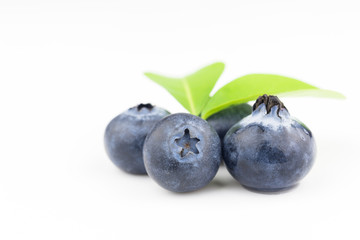blueberries isolated on white background