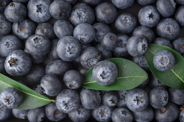 blueberries ,Berry, Blueberry background
