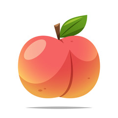 Peach fruit vector isolated illustration