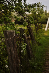 Metal fence at the county side. Small village life