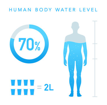 人体の水分割合の図　水のアイコン