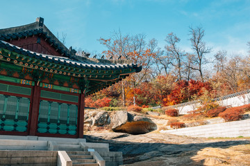 Fototapeta premium Gyeonghuigung Palace at autumn in Seoul, Korea